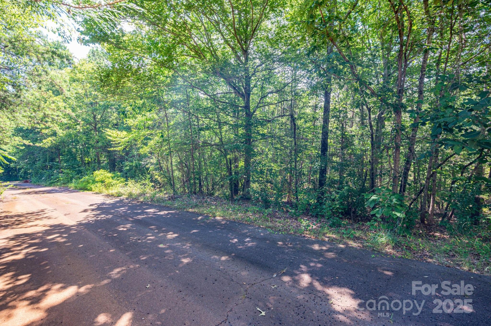 Lot # 16 Meadow Crossing Drive - Photo 3