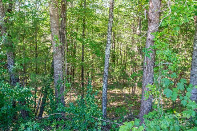 Lot 7 Meadow Crossing Drive