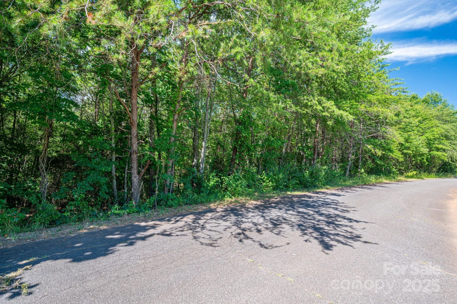 Lot 7 Meadow Crossing Drive - Photo 12
