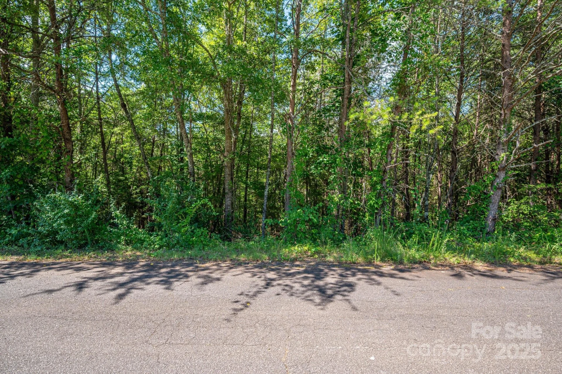 Lot 7 Meadow Crossing Drive - Photo 5