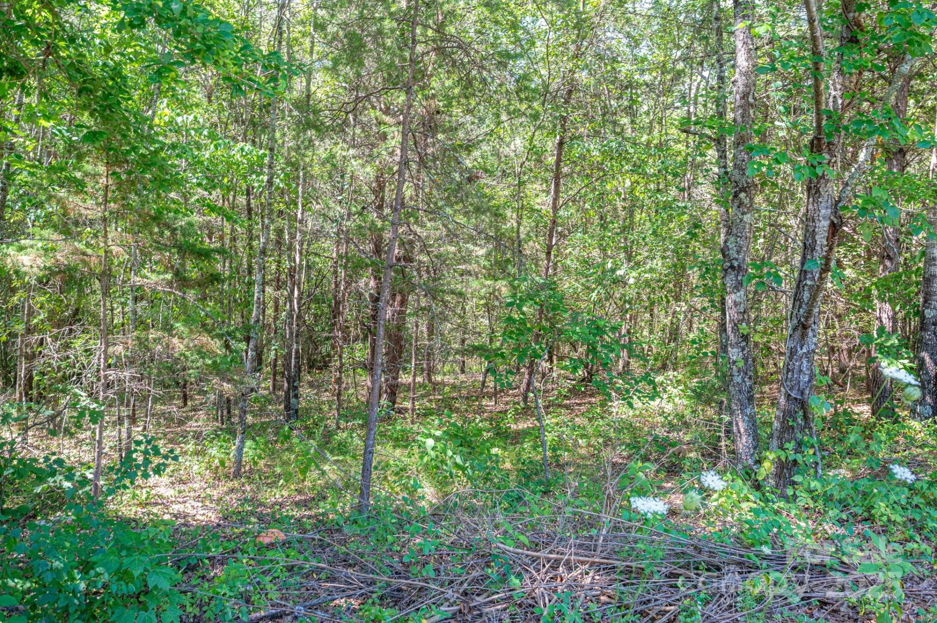 Lot # 15 Meadow Crossing Drive