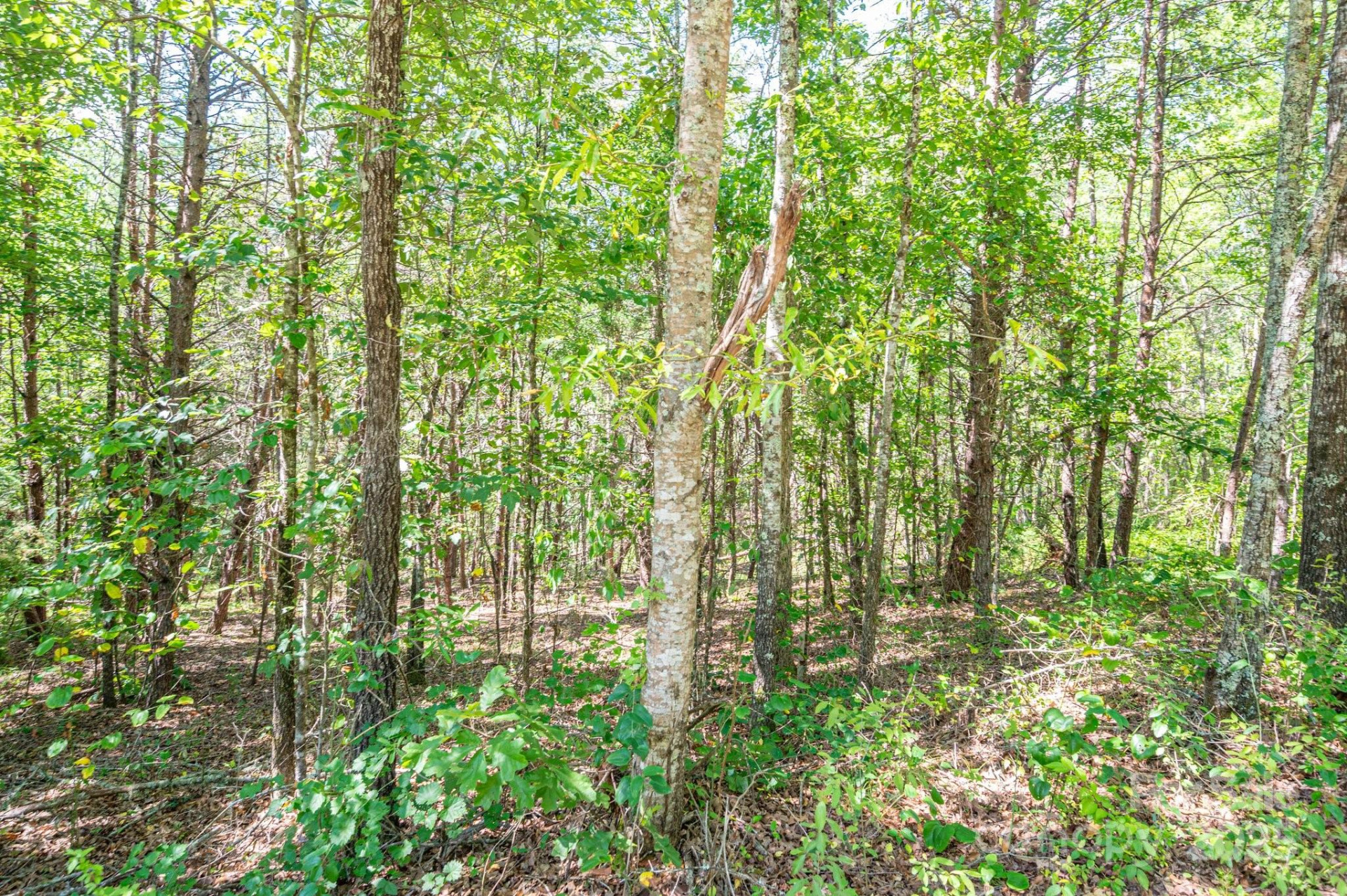 Lot # 15 Meadow Crossing Drive - Photo 12