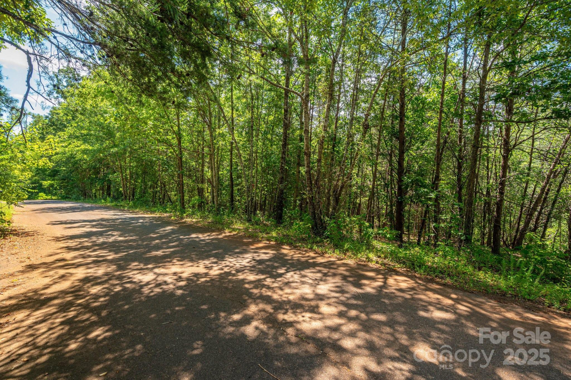 Lot # 15 Meadow Crossing Drive - Photo 13