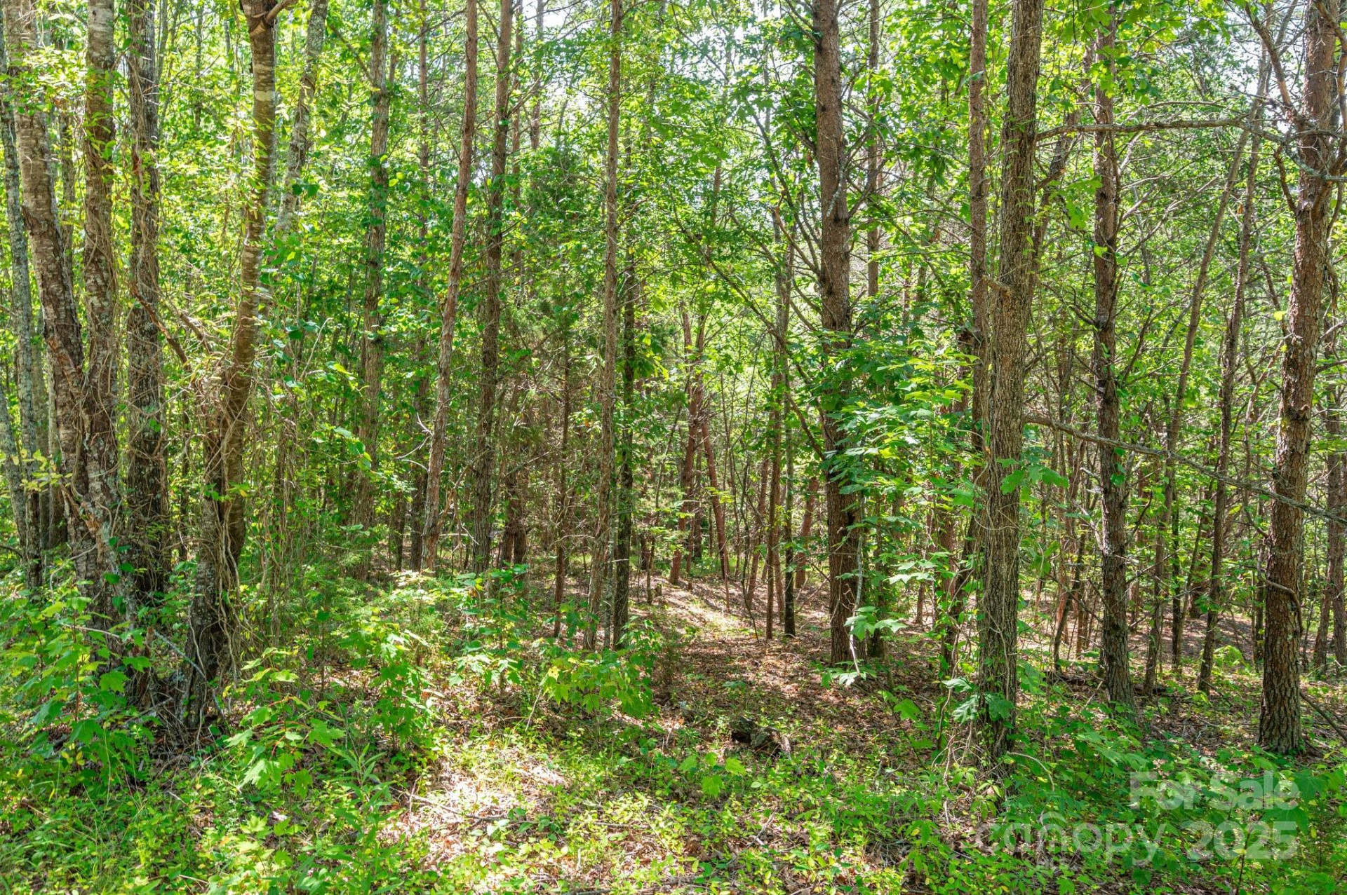 Lot # 15 Meadow Crossing Drive - Photo 14