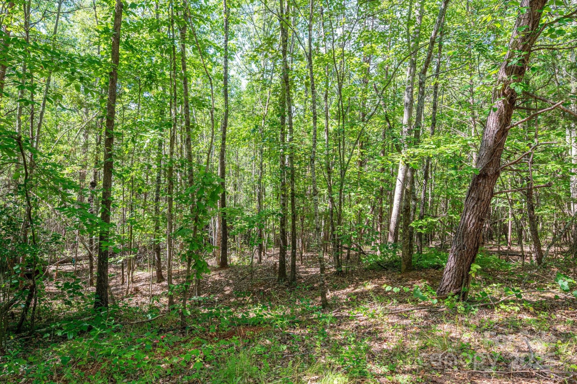 Lot #14 Meadow Crossing Drive - Photo 15