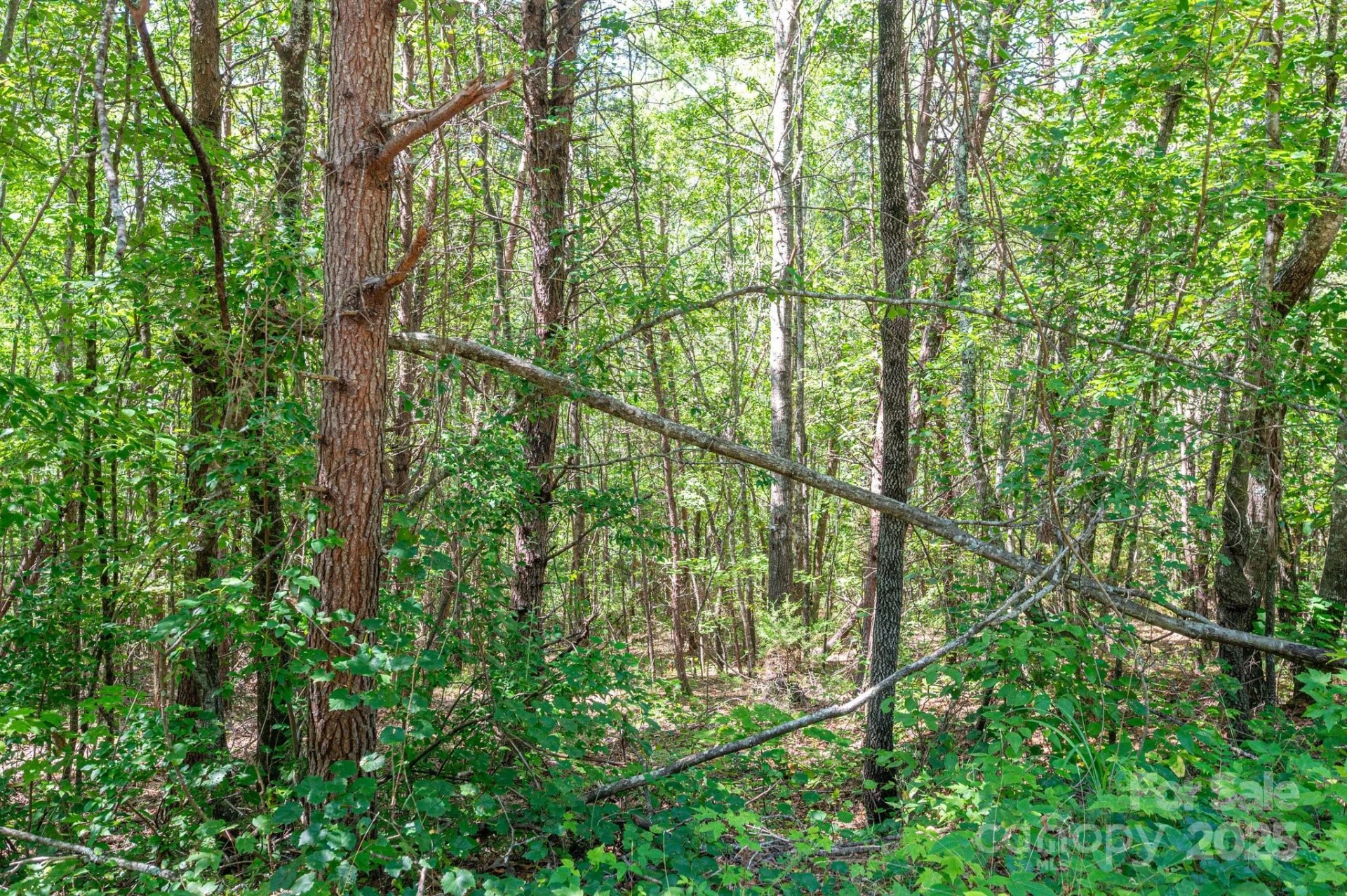 Lot #13 Meadow Crossing Drive