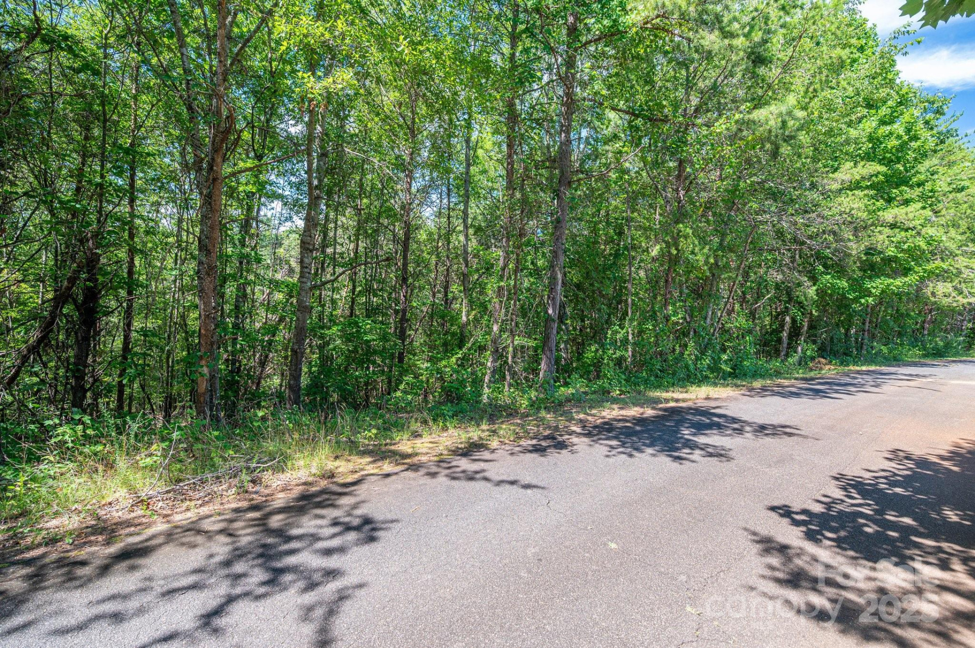 Lot #13 Meadow Crossing Drive - Photo 13