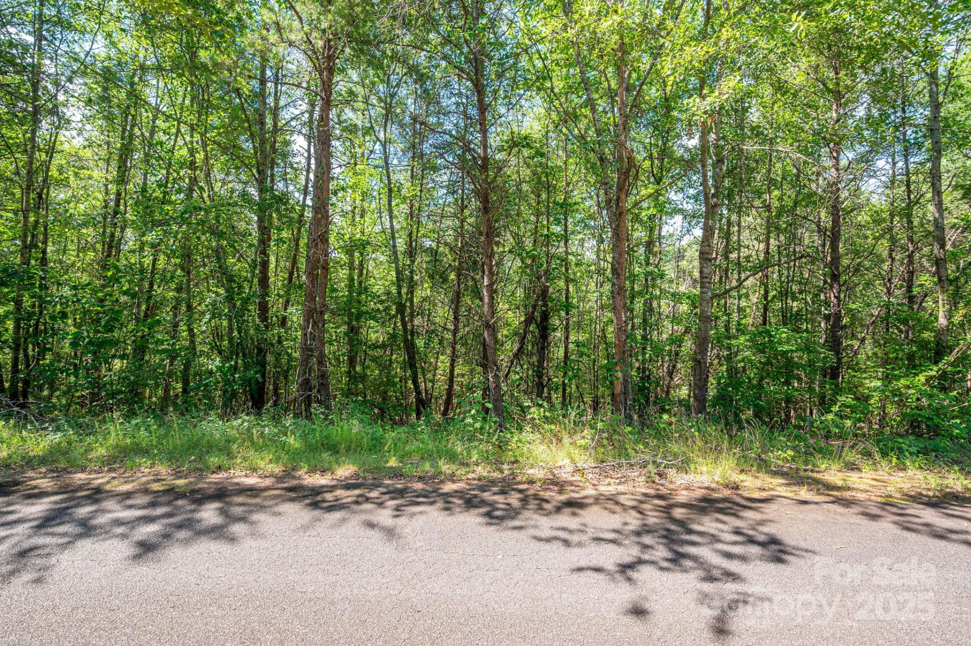 Lot #13 Meadow Crossing Drive - Photo 15