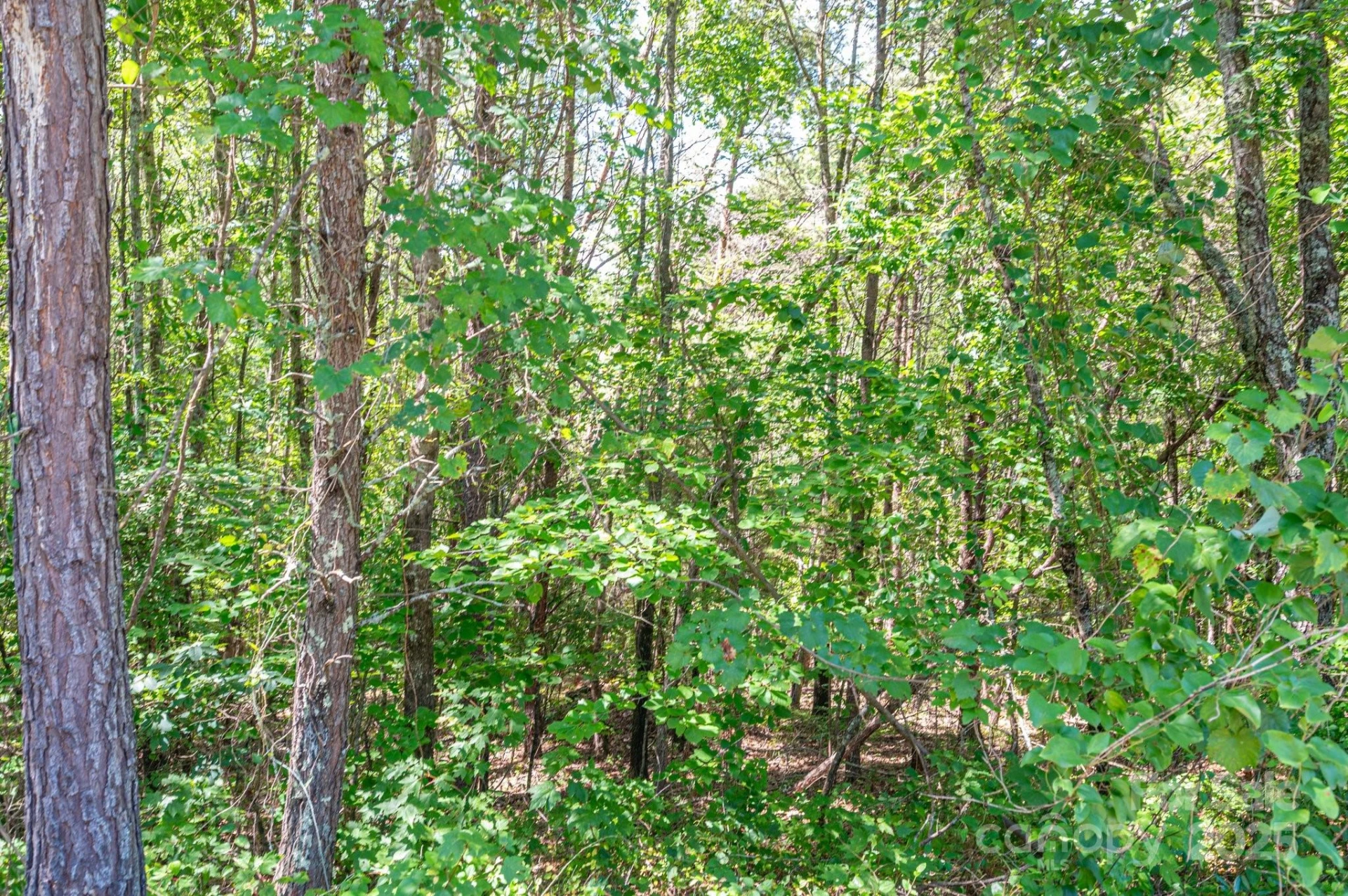 Lot #13 Meadow Crossing Drive - Photo 4