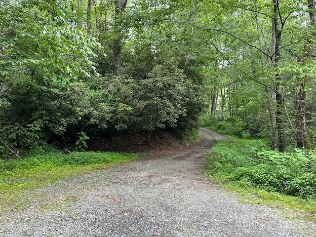 63 Apple Bee Road - Photo 11