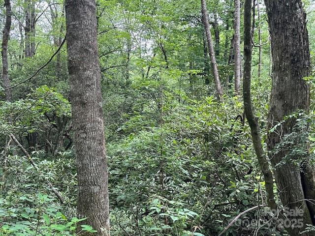 63 Apple Bee Road - Photo 12