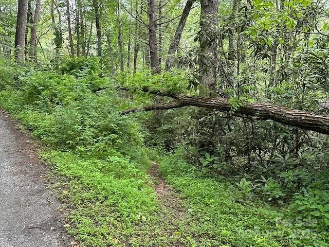 63 Apple Bee Road - Photo 13