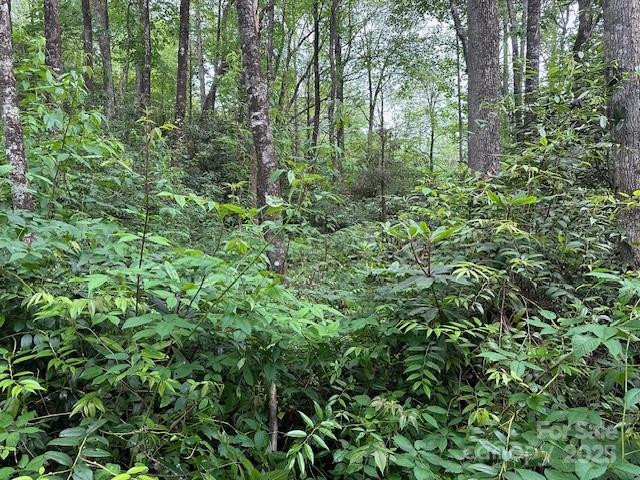 63 Apple Bee Road - Photo 19