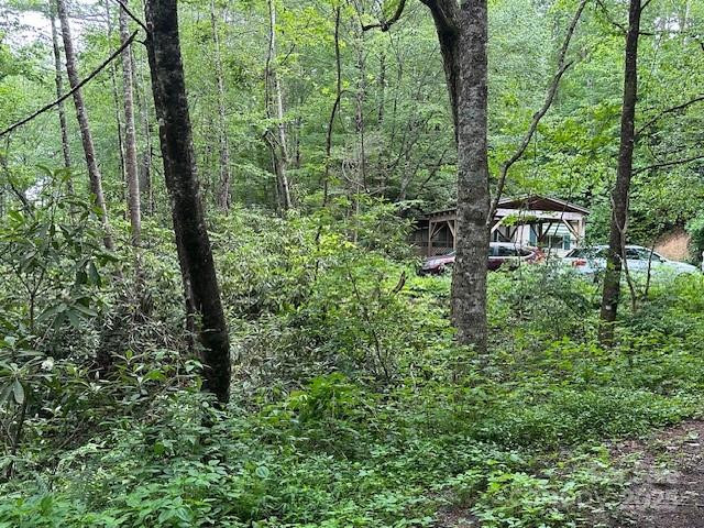 63 Apple Bee Road - Photo 10