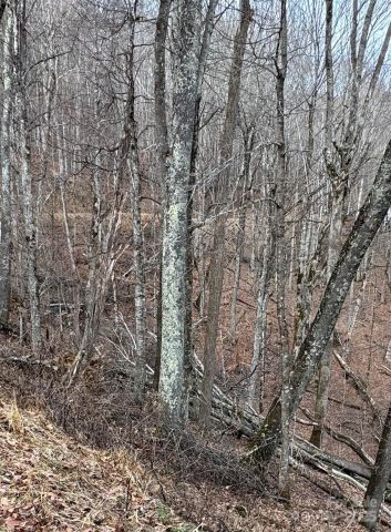 00 Spring Brook Drive, Mars Hill, NC, 28754