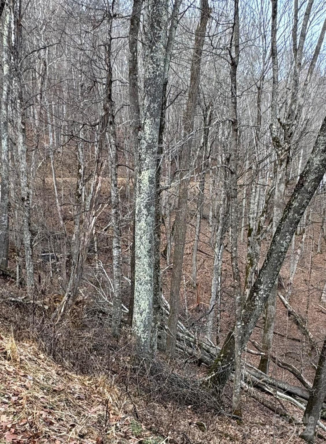 00 Spring Brook Drive #314