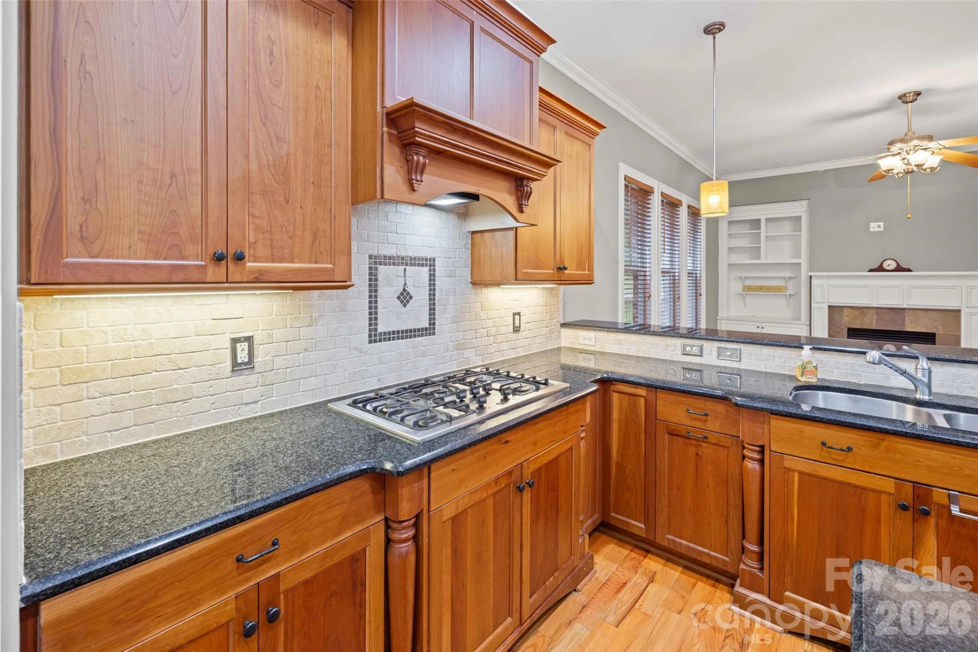 1727 Mineral Springs Road - Photo 9