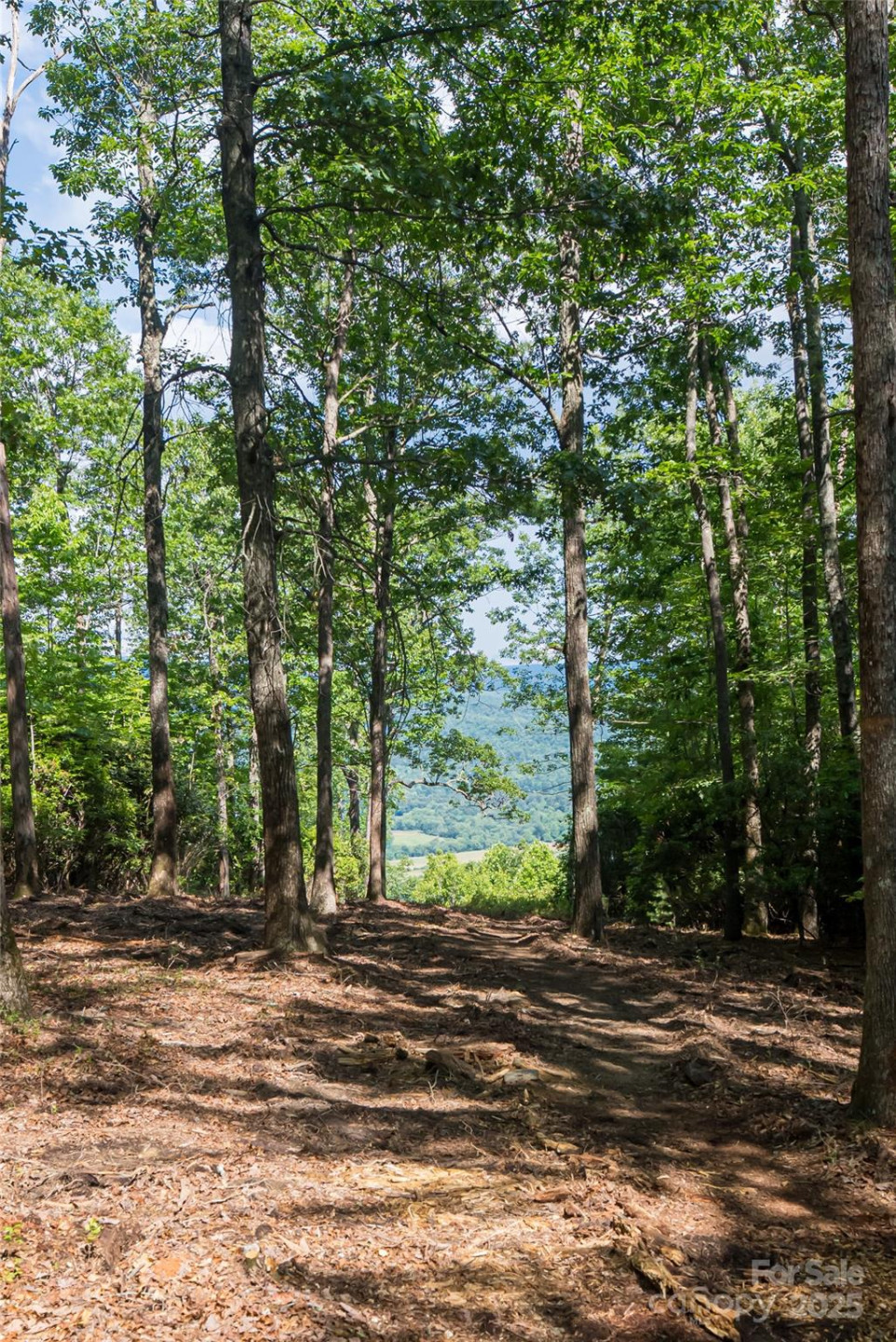 99999 Reserve Road - Photo 11