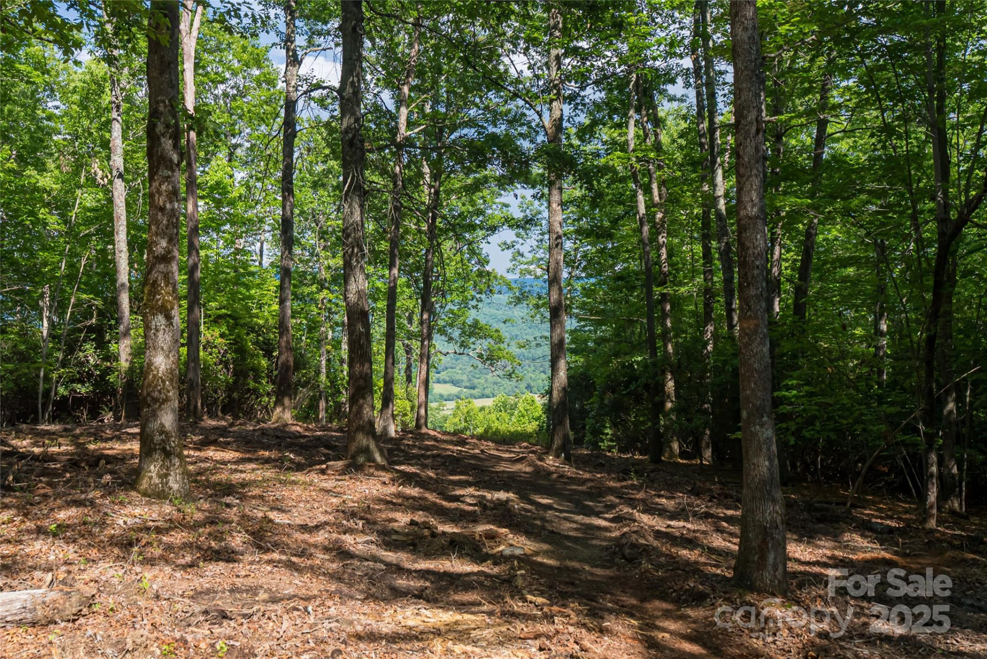 99999 Reserve Road - Photo 12