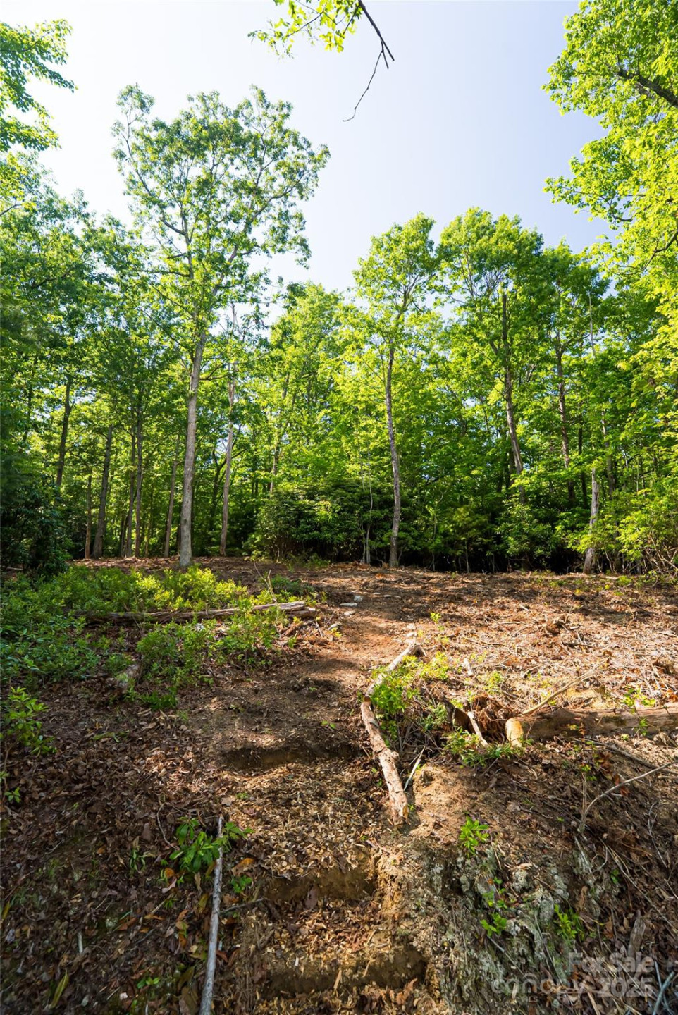 99999 Reserve Road - Photo 13