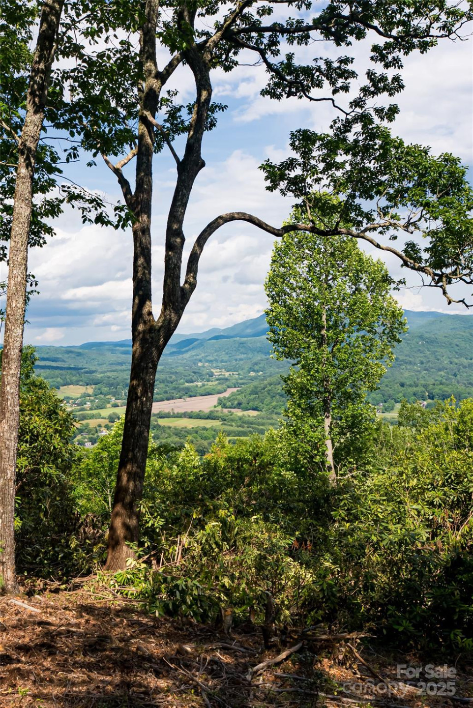 99999 Reserve Road - Photo 14