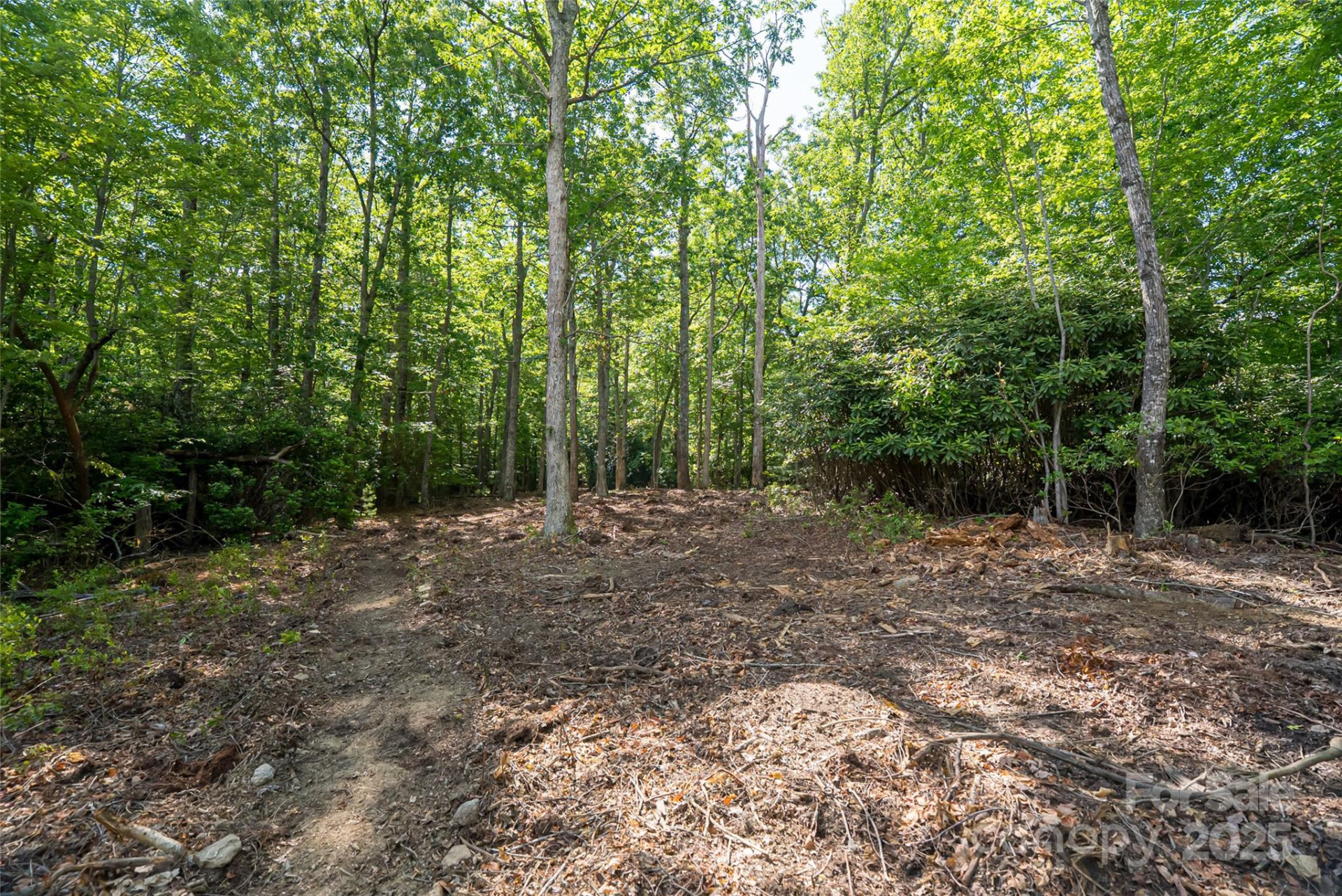 99999 Reserve Road - Photo 16