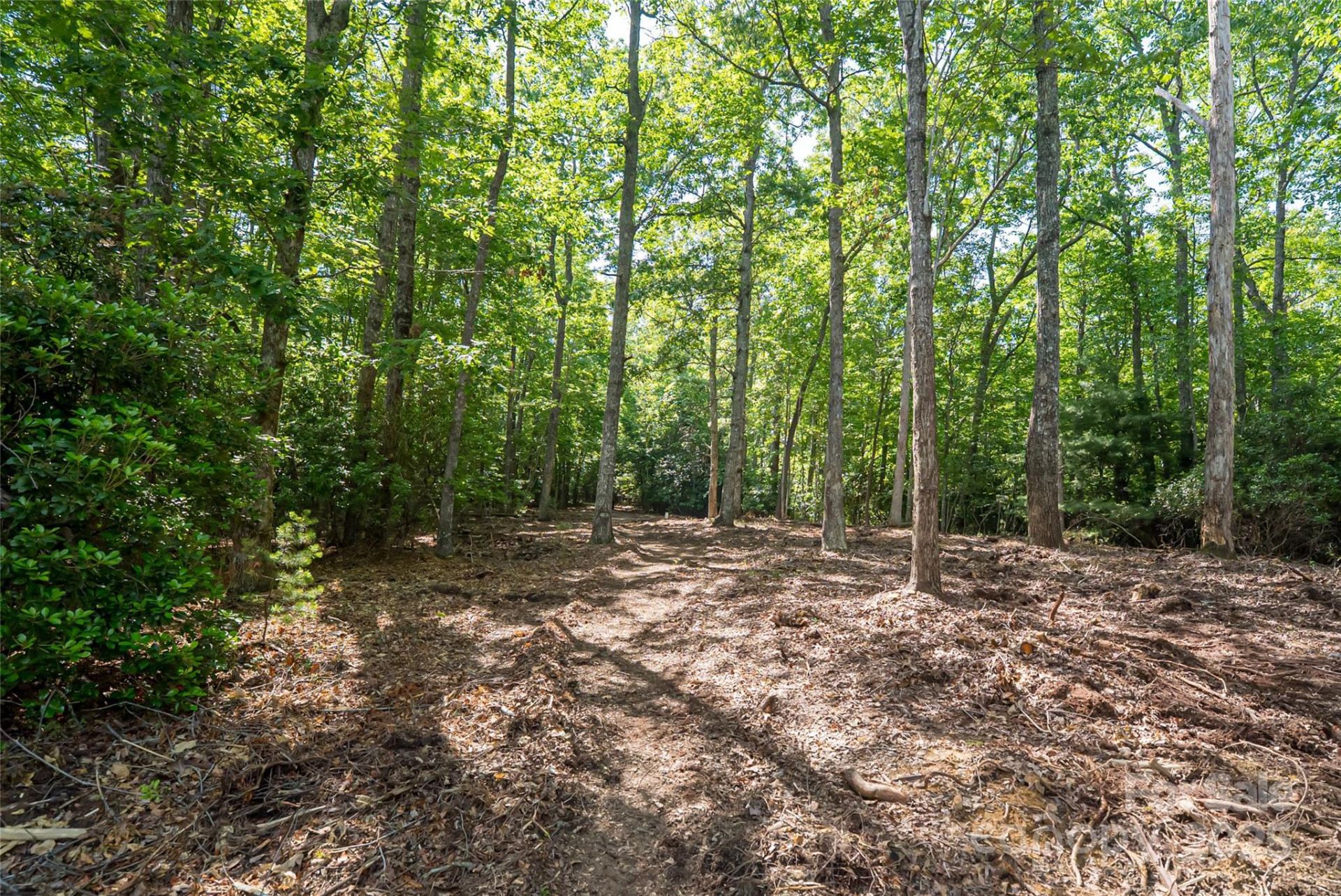 99999 Reserve Road - Photo 17