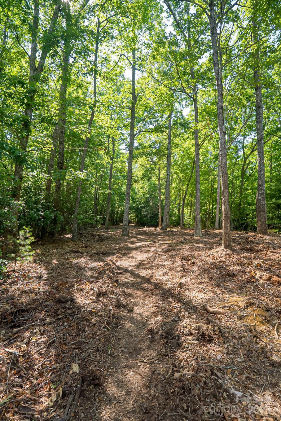 99999 Reserve Road - Photo 18