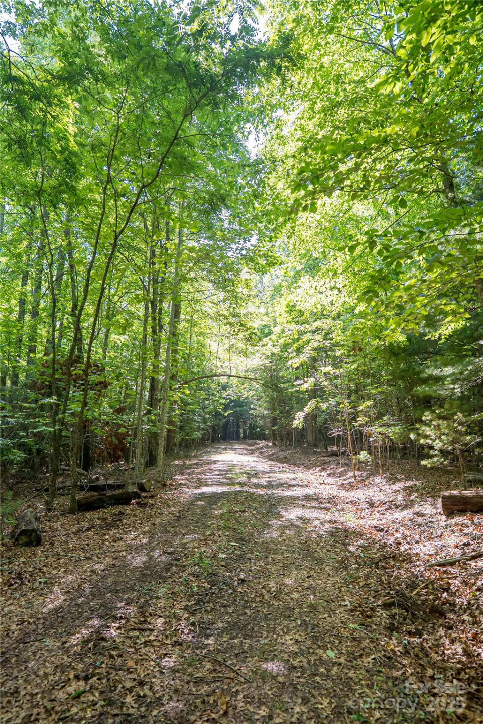 99999 Reserve Road - Photo 20