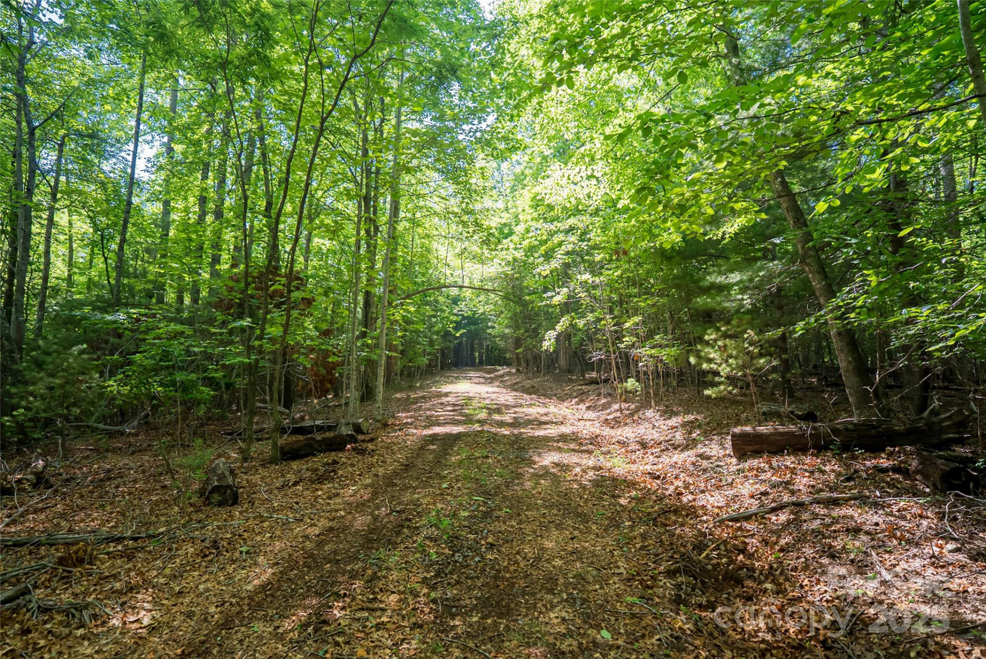 99999 Reserve Road - Photo 21