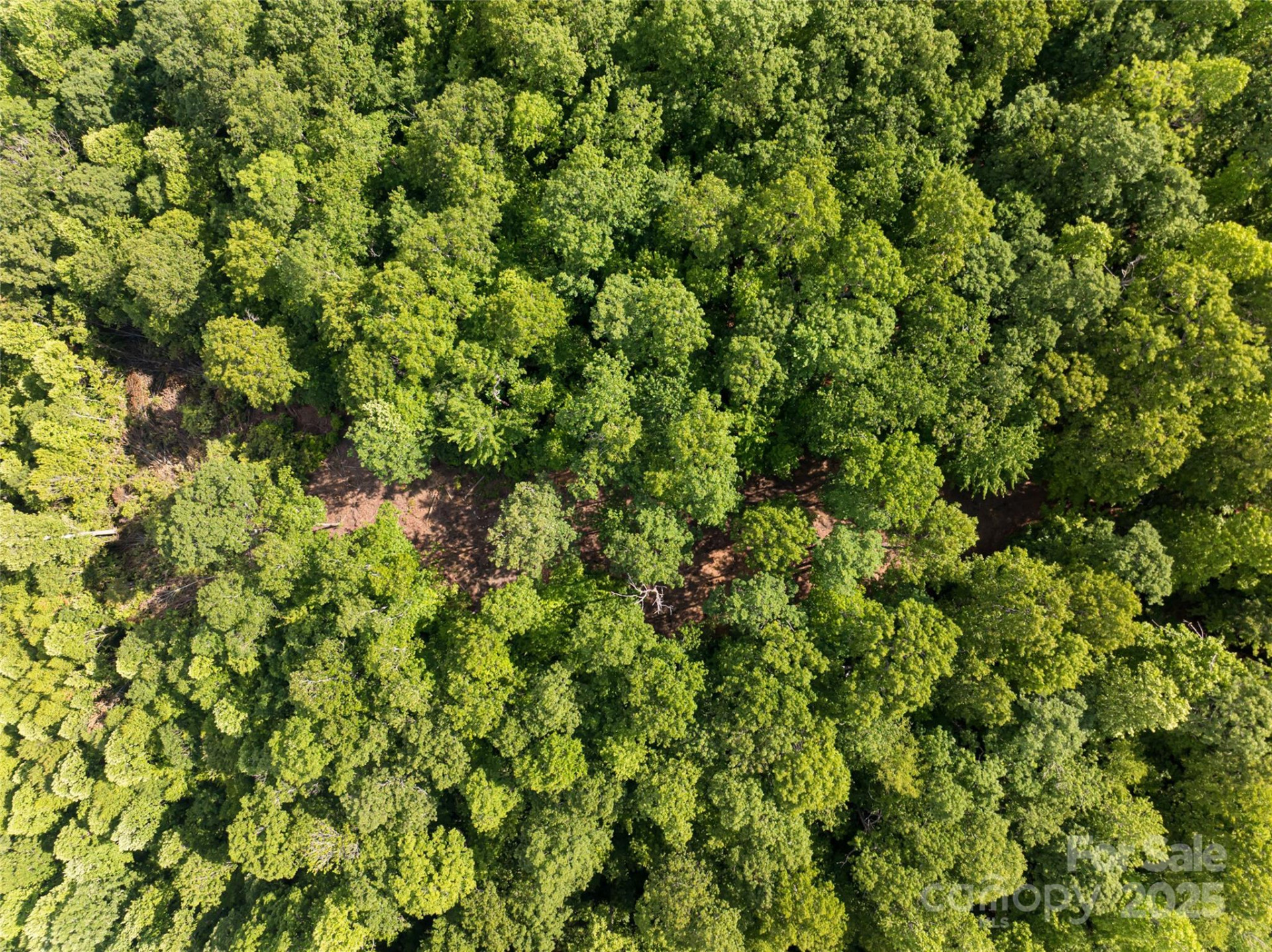 99999 Reserve Road - Photo 24