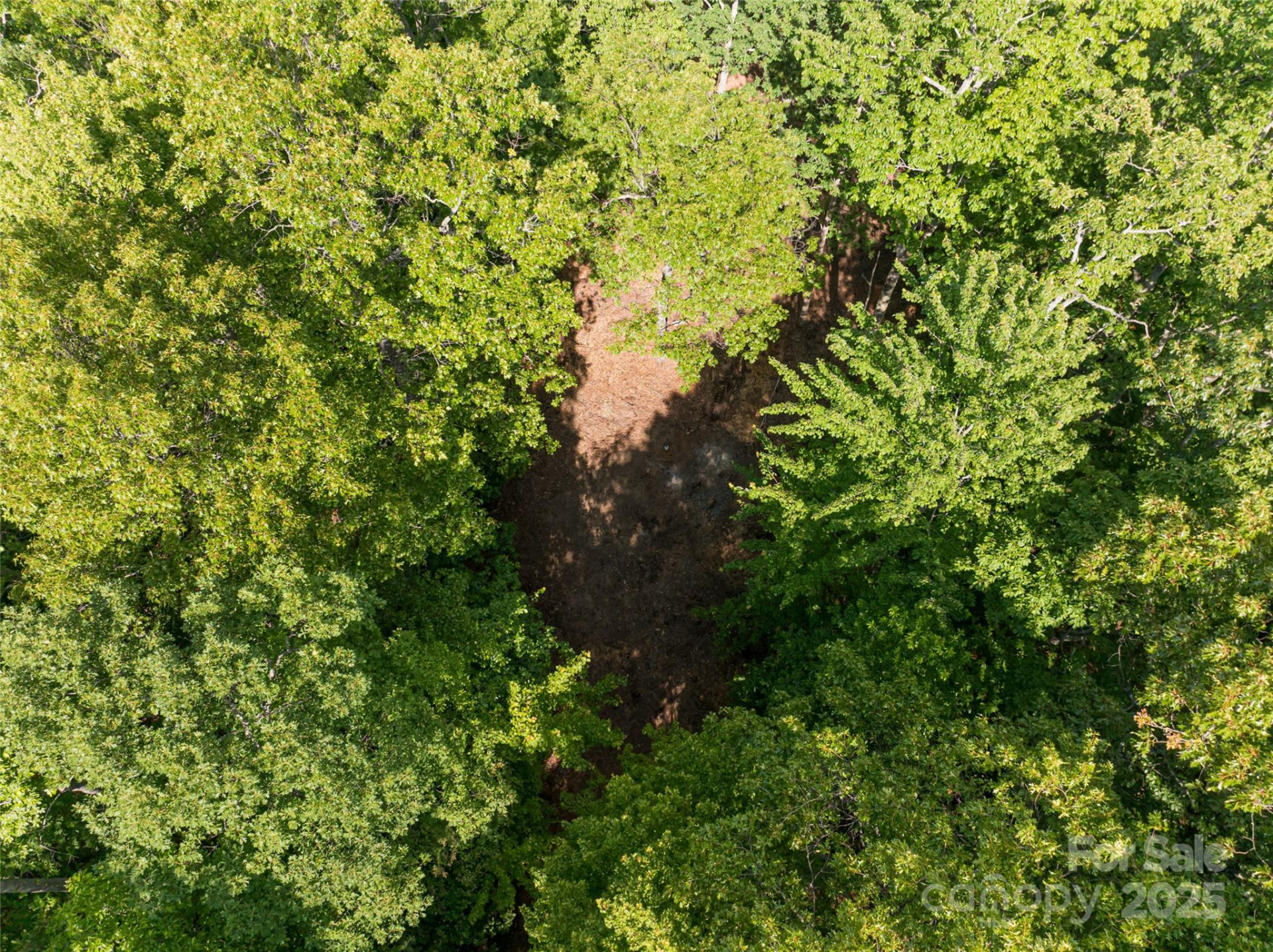 99999 Reserve Road - Photo 25