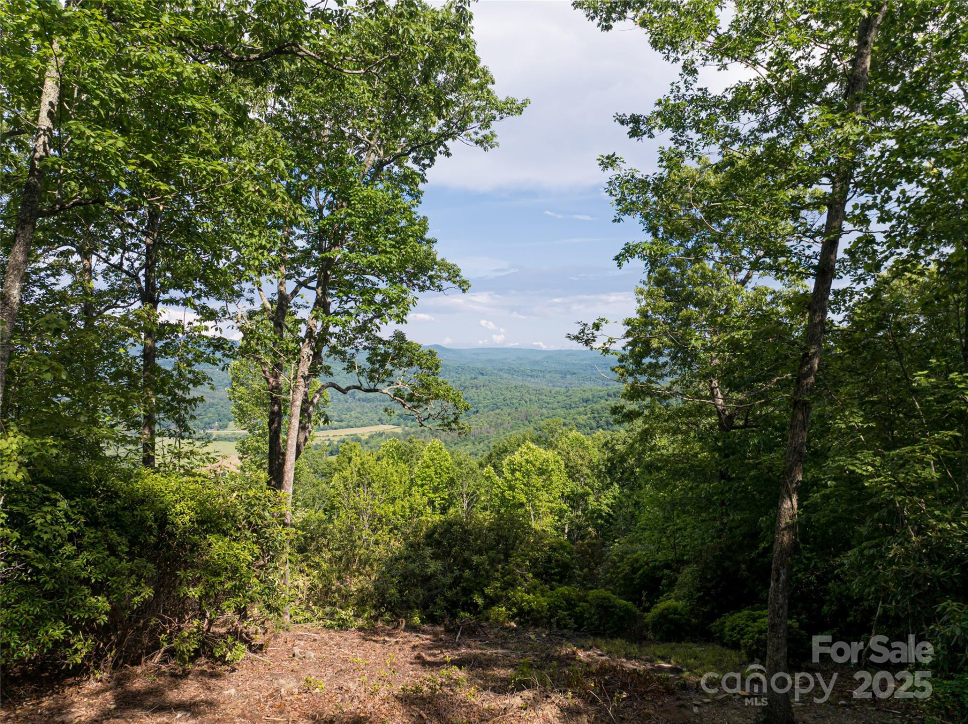 99999 Reserve Road - Photo 29