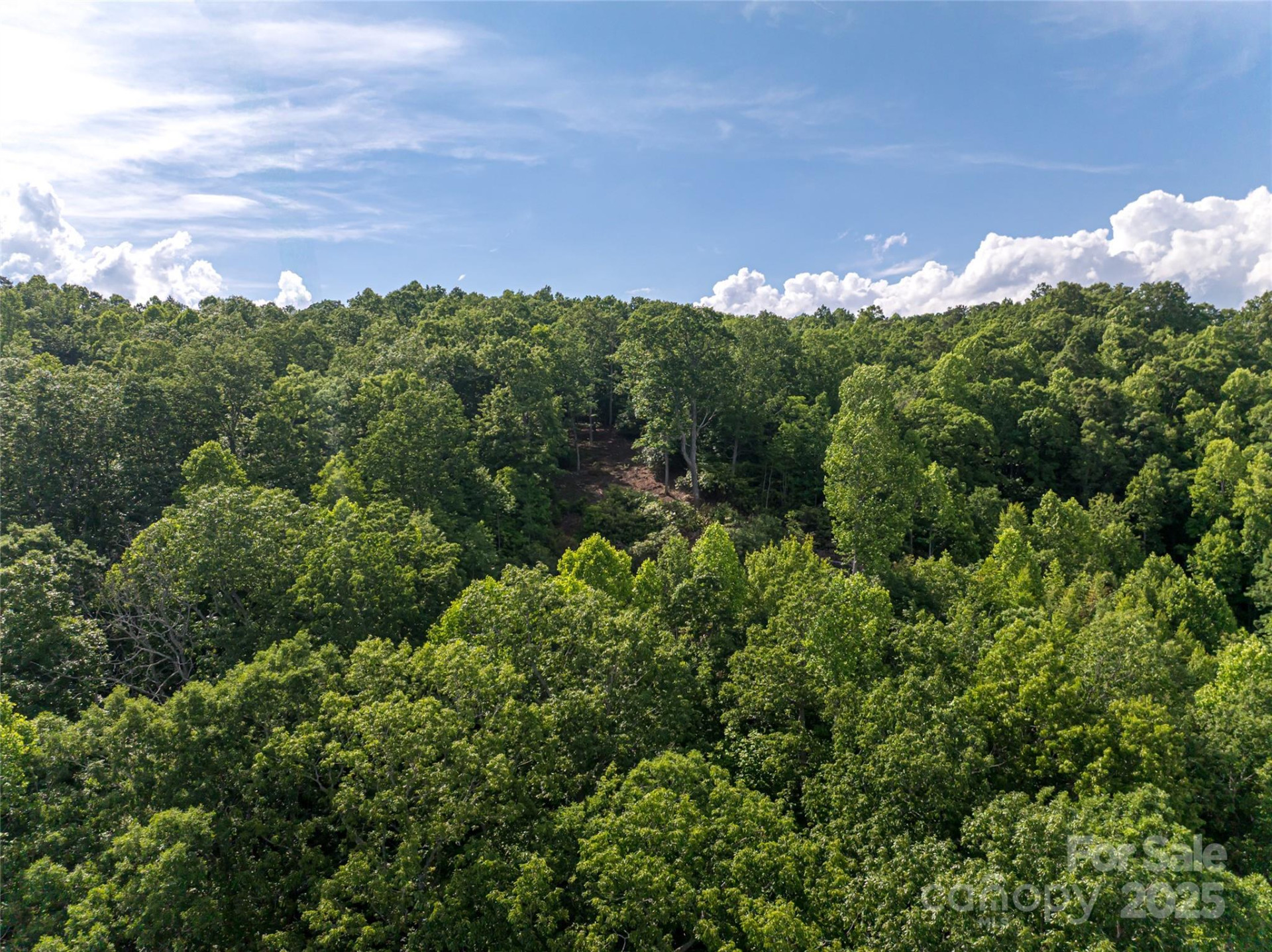 99999 Reserve Road - Photo 30