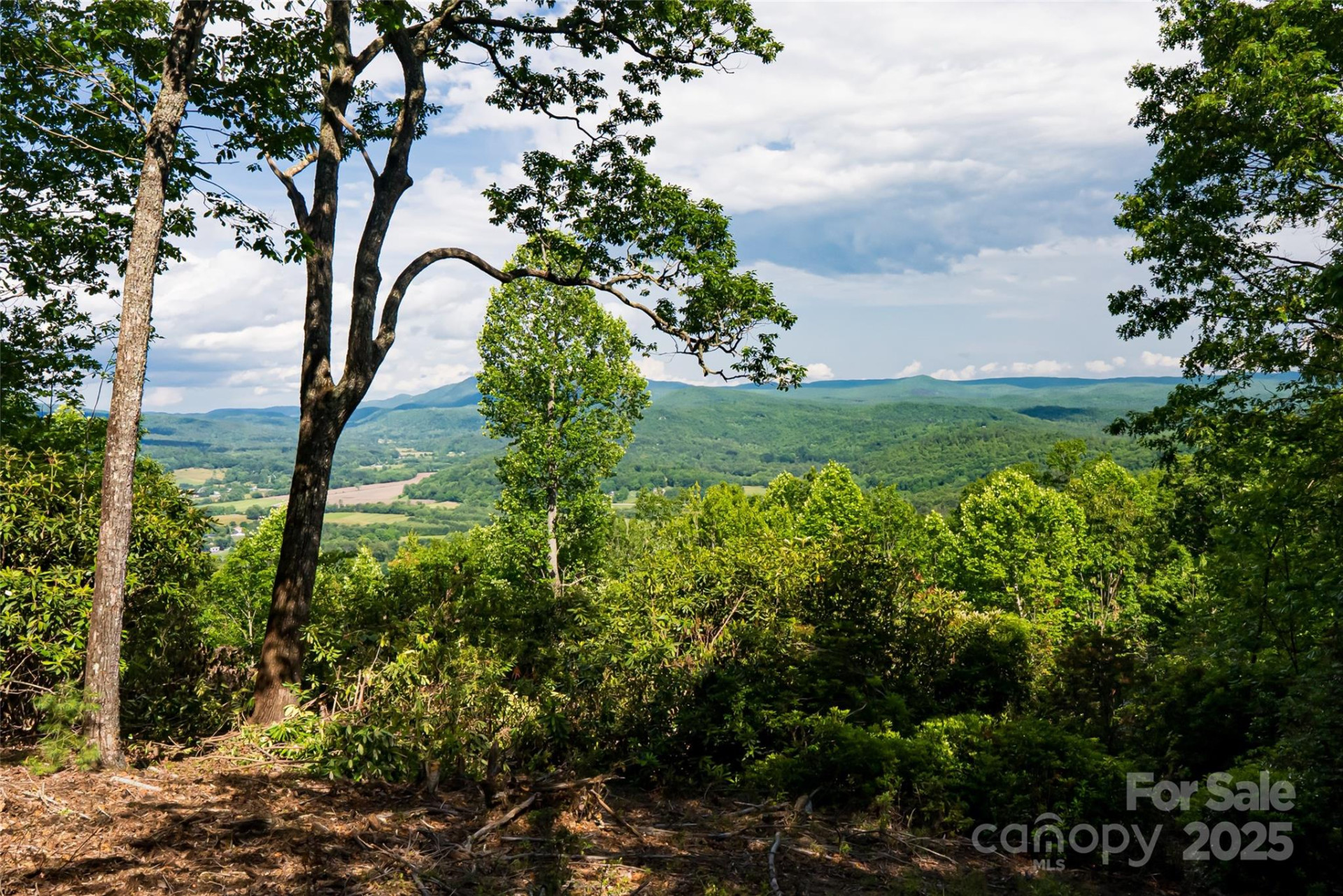 99999 Reserve Road - Photo 4