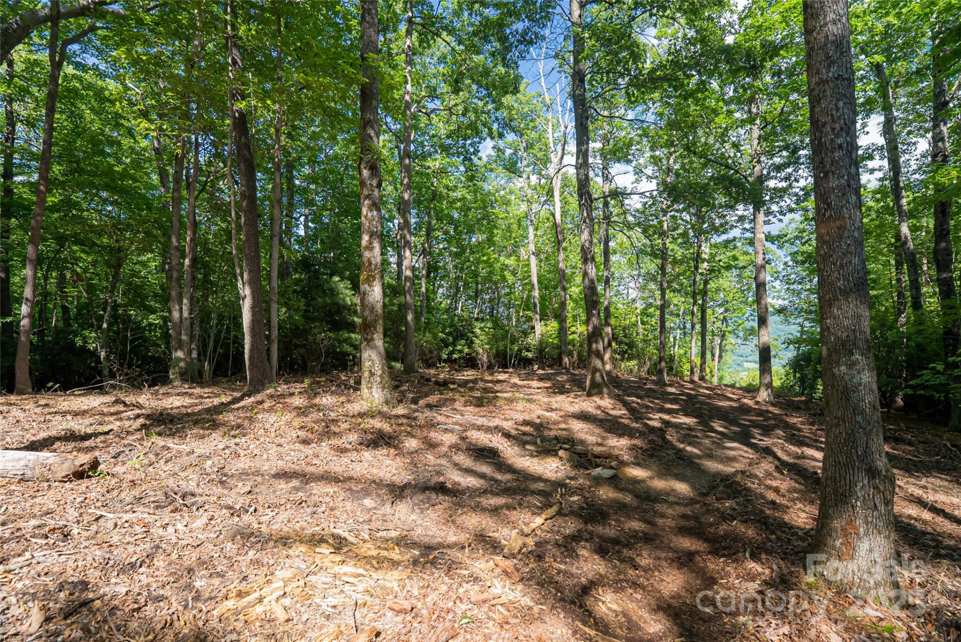 99999 Reserve Road - Photo 5