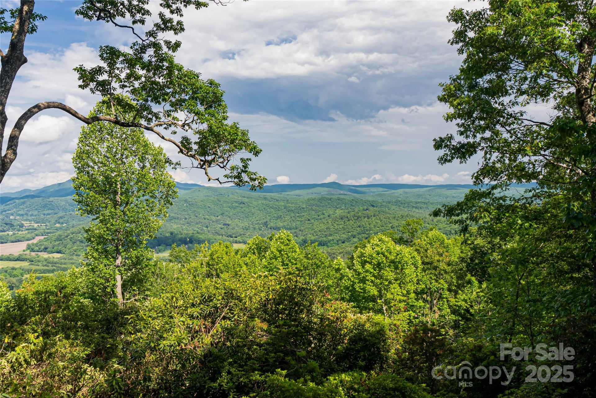 99999 Reserve Road - Photo 6