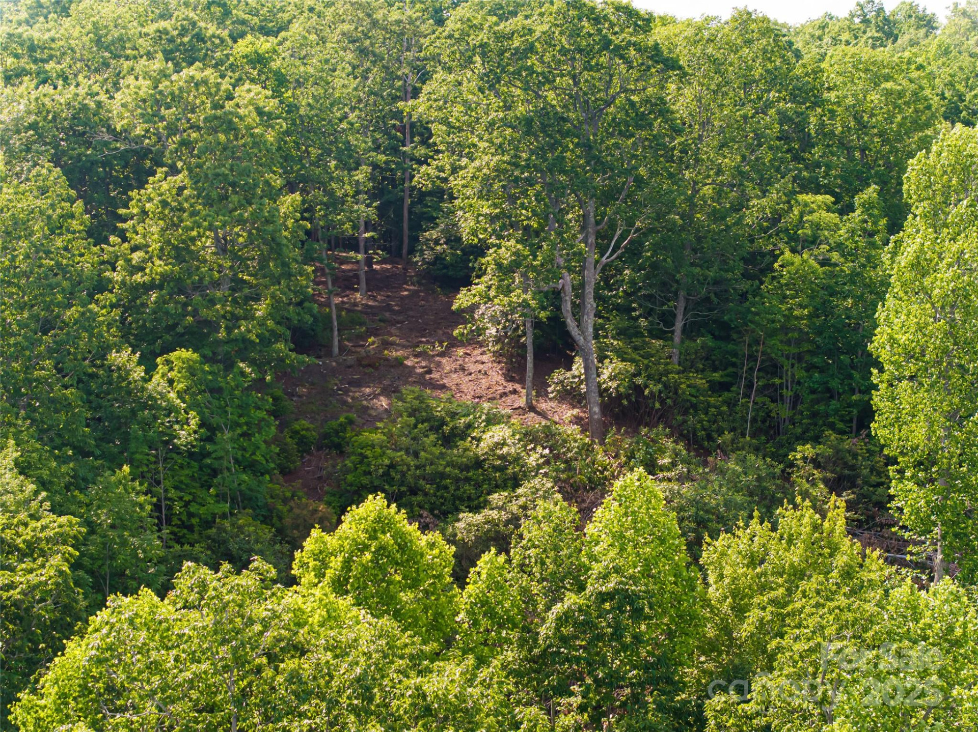 99999 Reserve Road - Photo 9