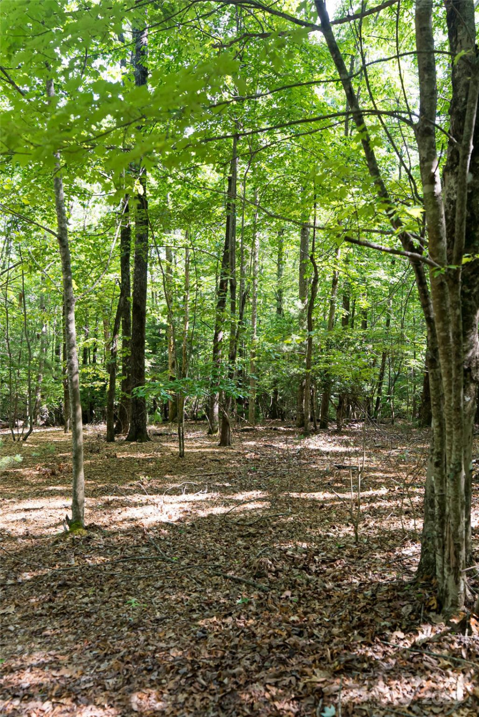 99999 Reserve Road - Photo 10