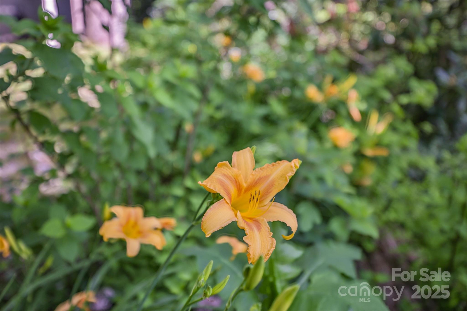 56 Faraway Drive - Photo 2