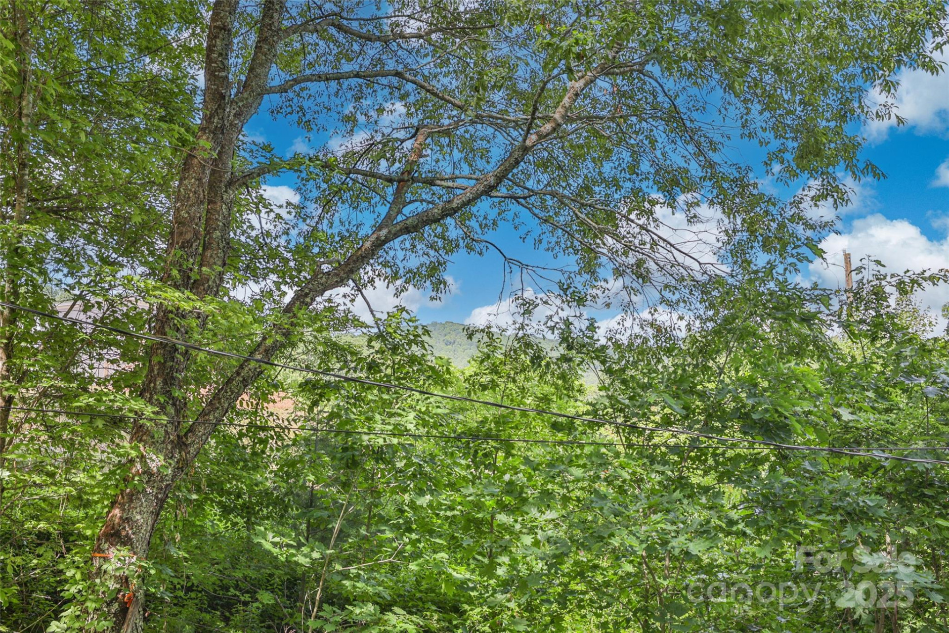 56 Faraway Drive - Photo 27