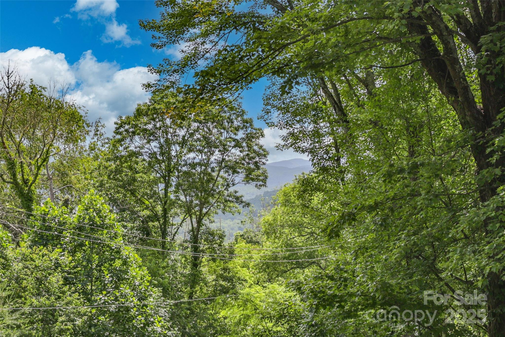 56 Faraway Drive - Photo 7