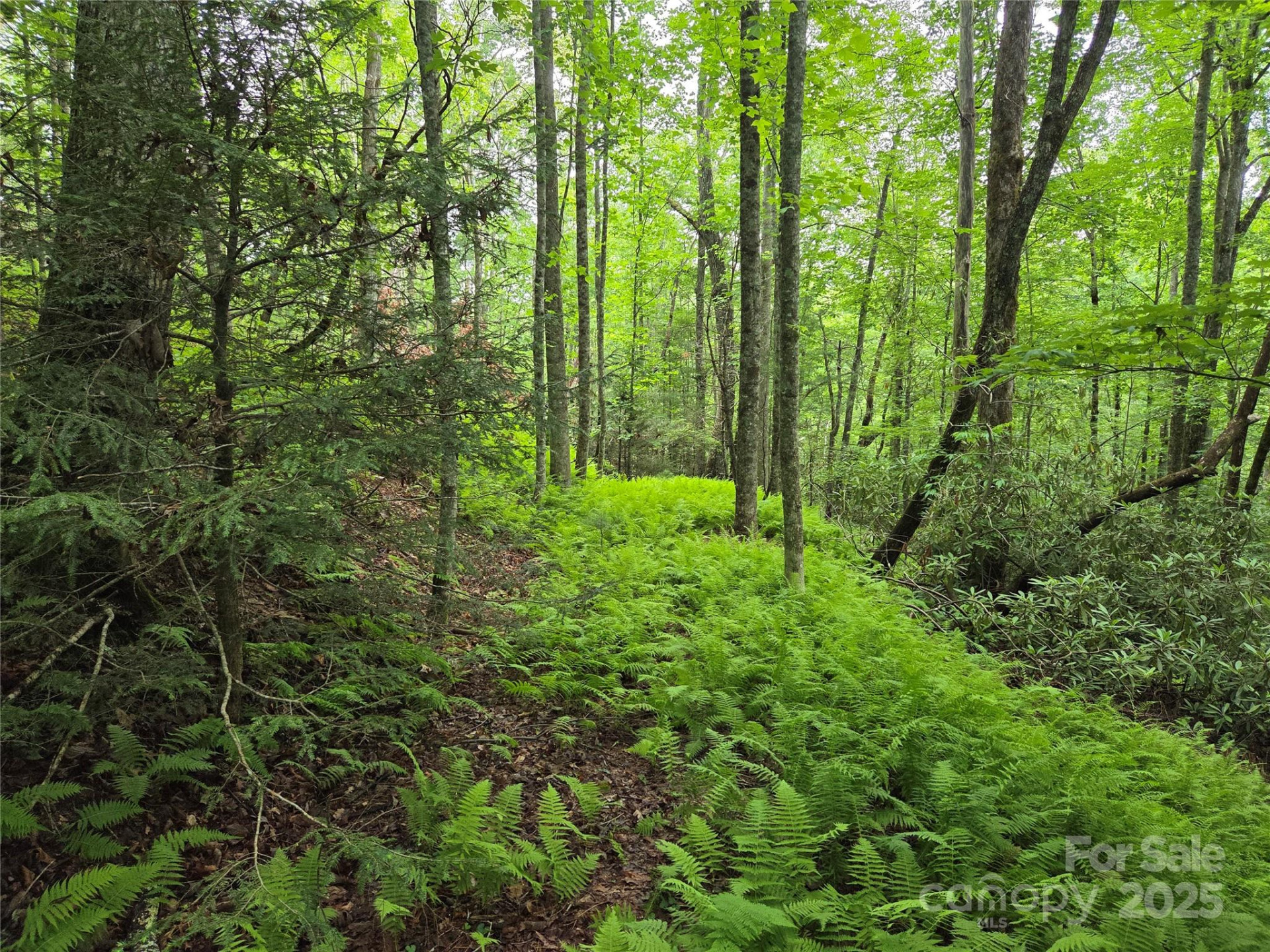 TBD Cedar Lane - Photo 22