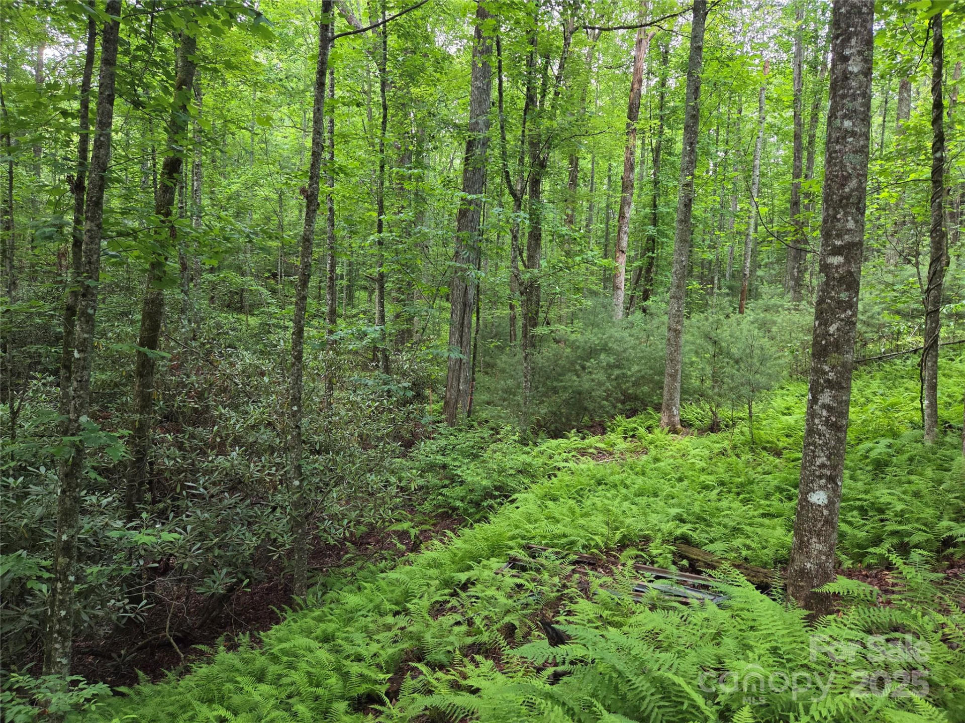 TBD Cedar Lane - Photo 23