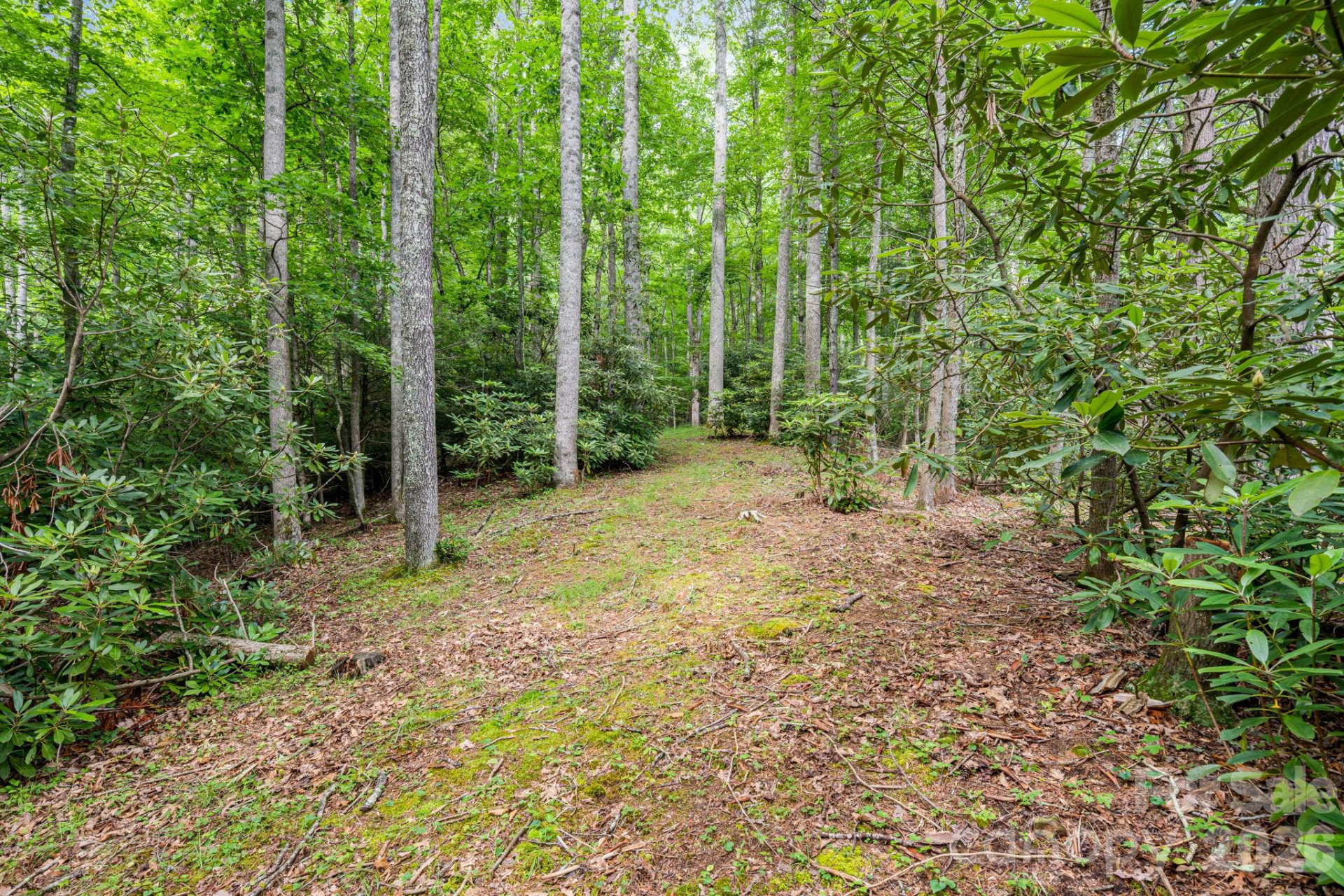 79 Creekside Lane - Photo 41