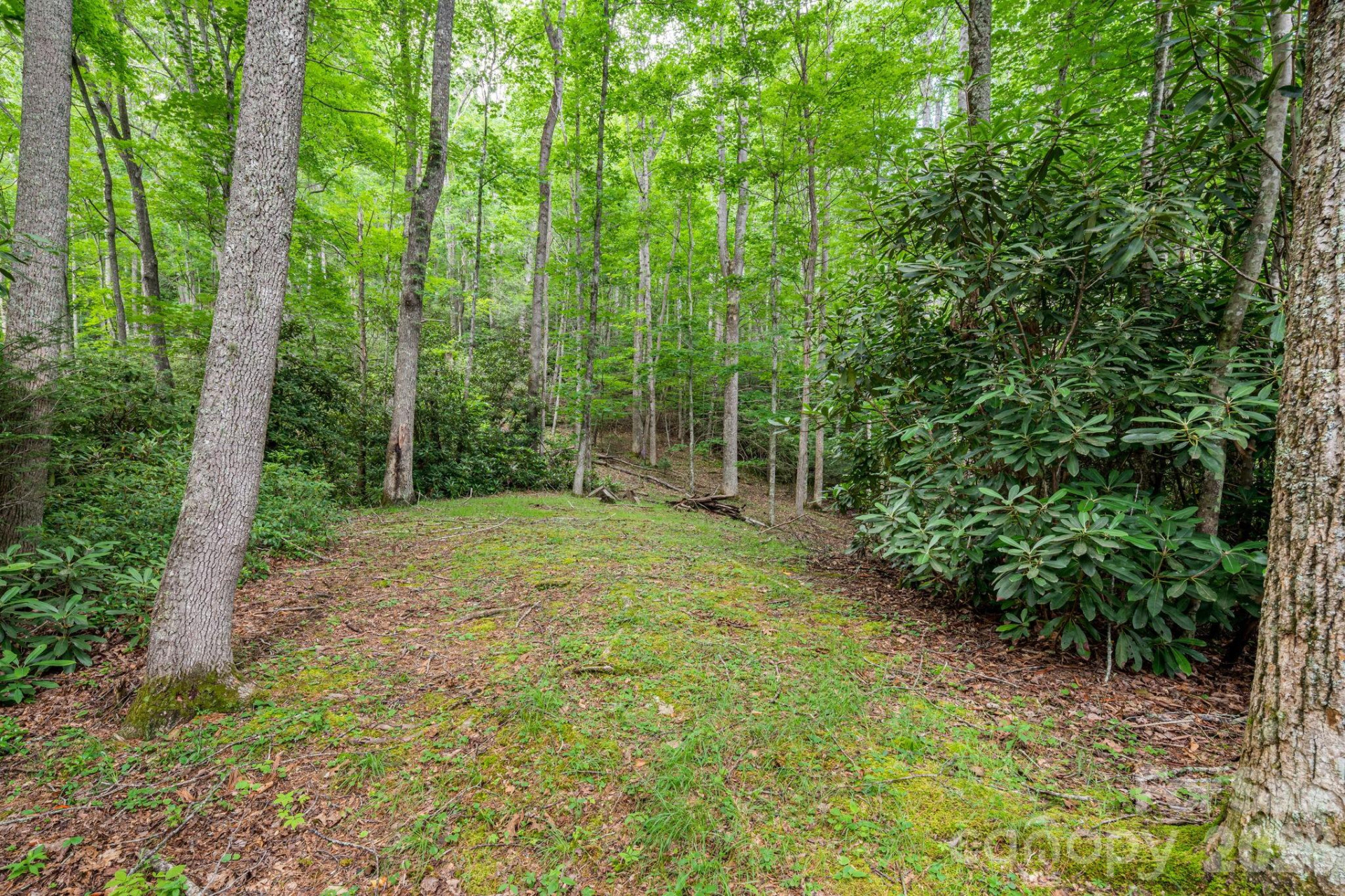 79 Creekside Lane - Photo 42
