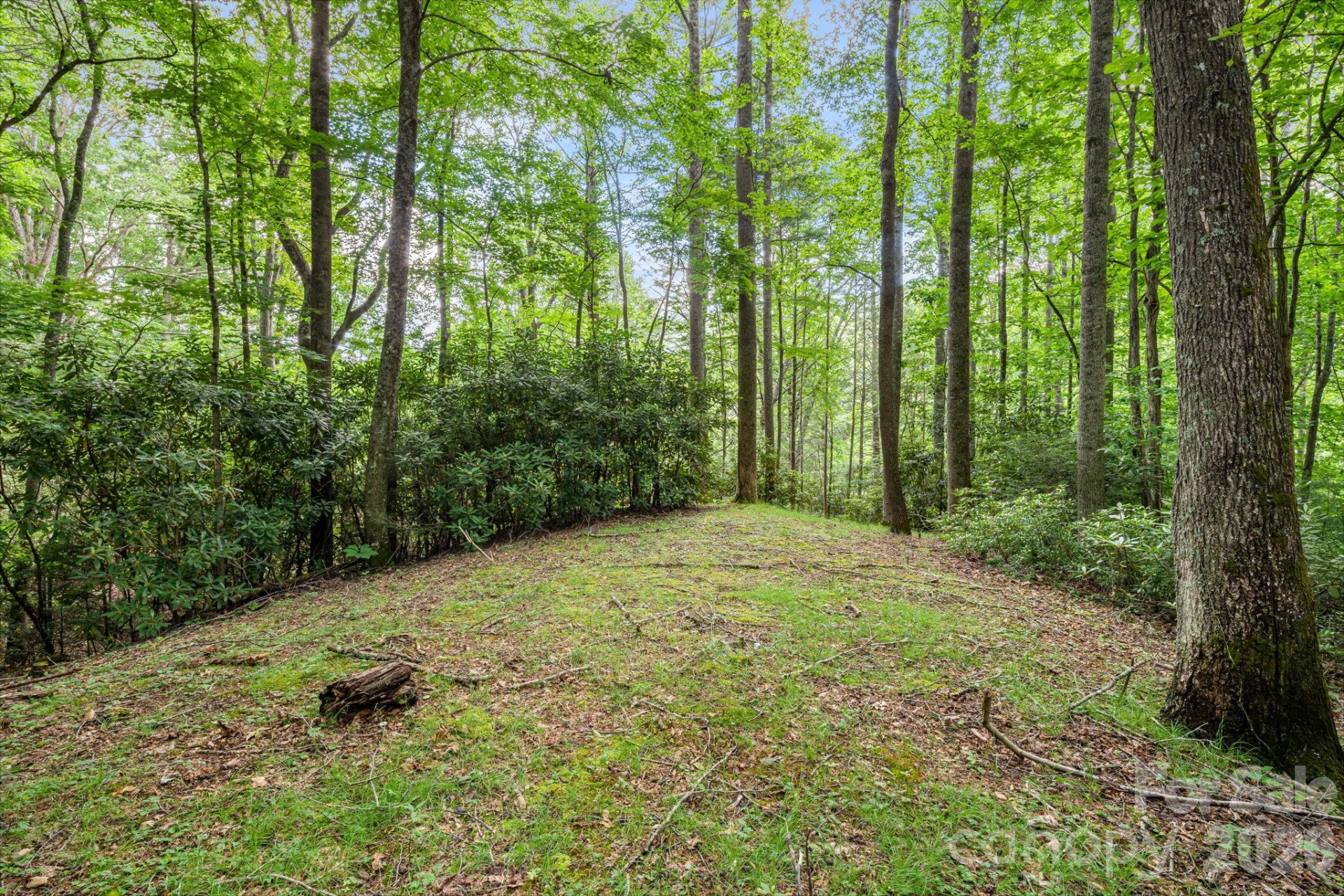 79 Creekside Lane - Photo 43