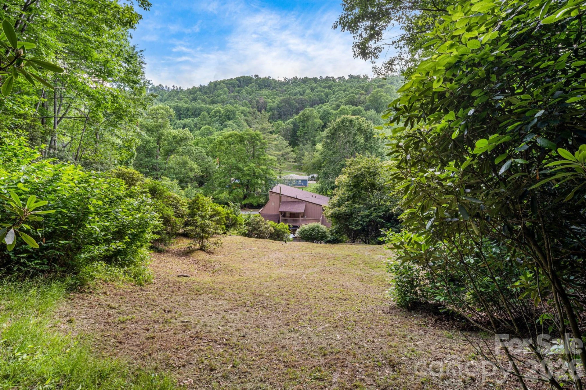 79 Creekside Lane - Photo 44