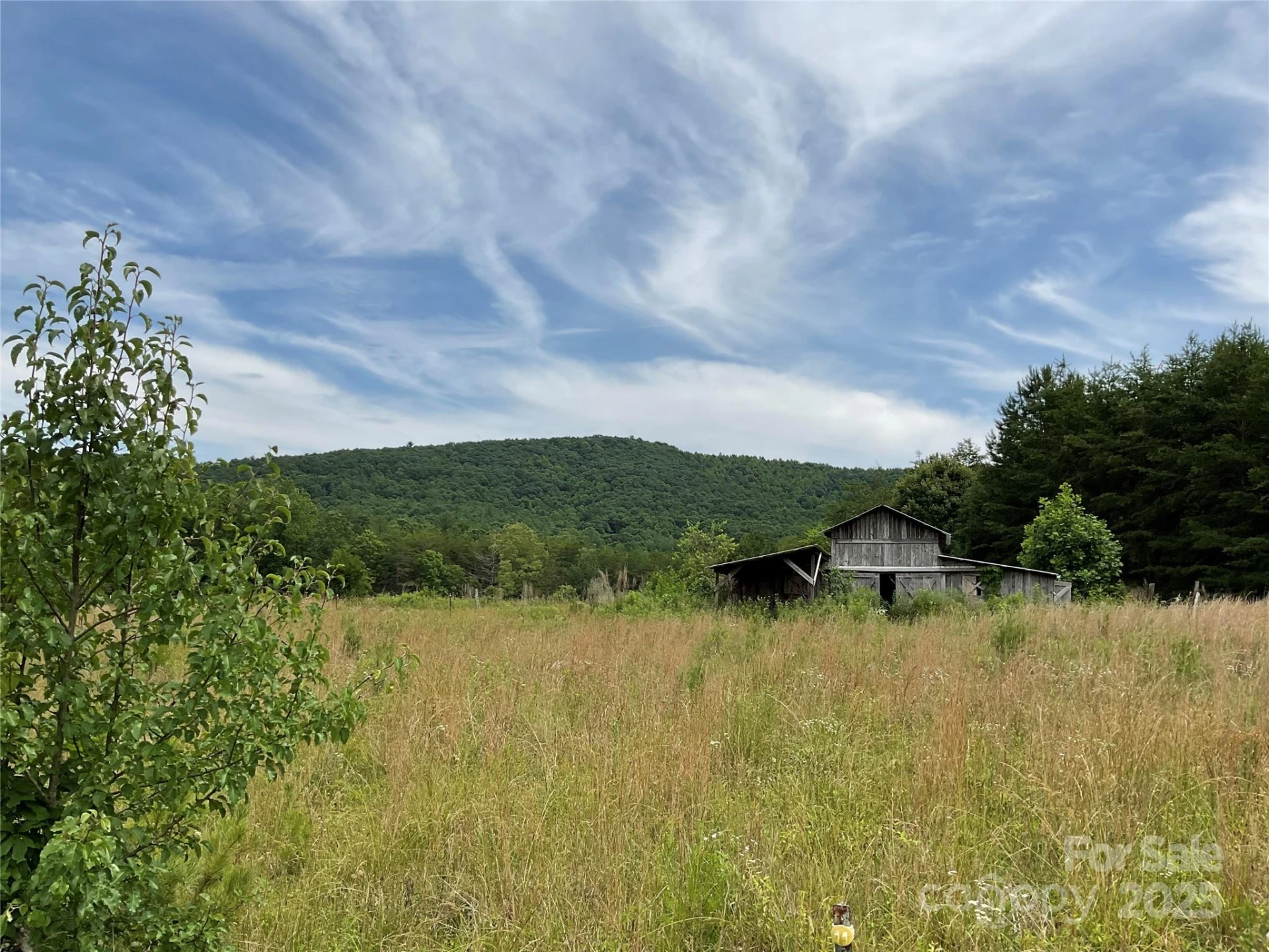4282 Mount Gilead Church Road - Photo 3