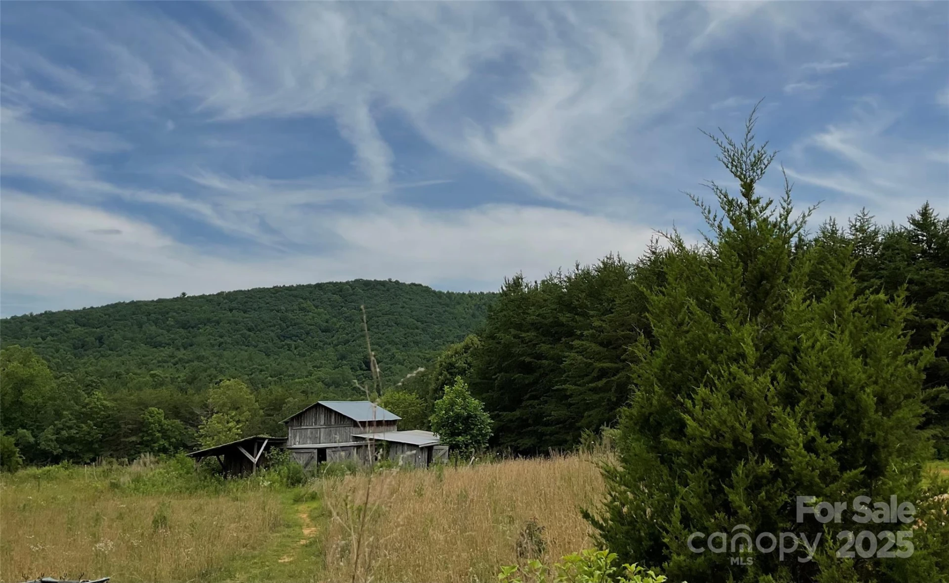 4282 Mount Gilead Church Road - Photo 4